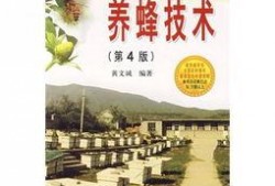 养蜂技术爆料视频