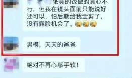 中餐厅爆料菜视频,独家爆料菜式制作全过程